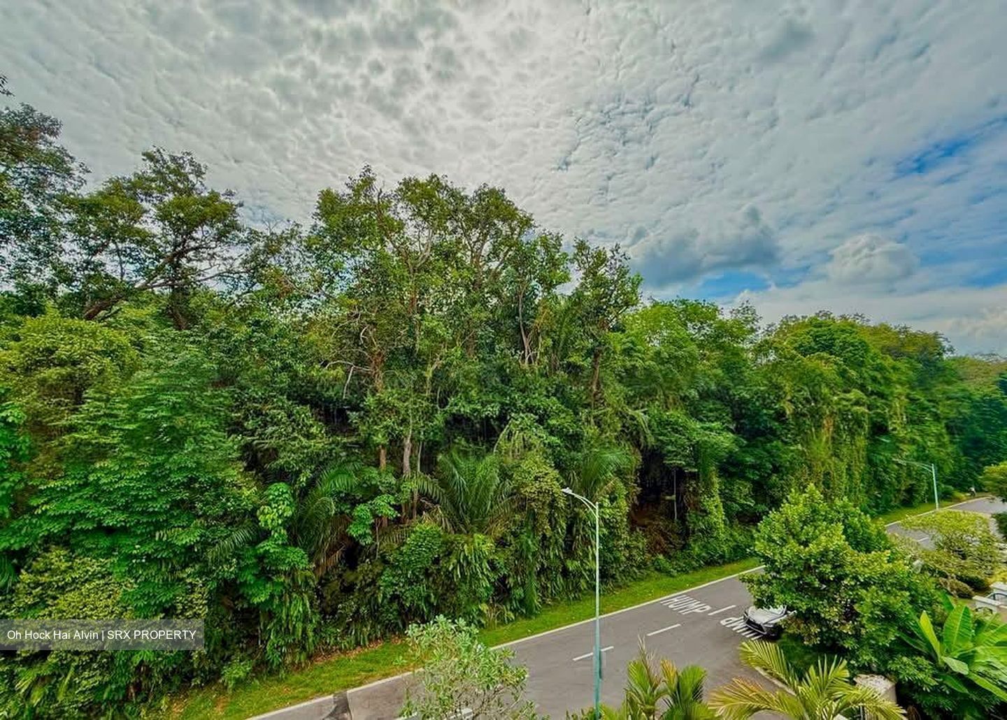 Sembawang Hills Estate (D20), Semi-Detached #593987471
